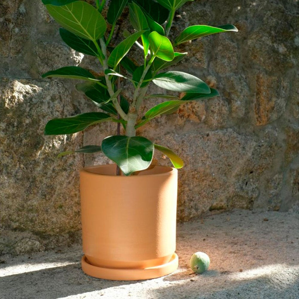 DINIS – Blumentopf für Innen- und Außenbereiche, Ton, Terrakotta Natur, Ø 18 cm, handgefertigt mit Untersetzer