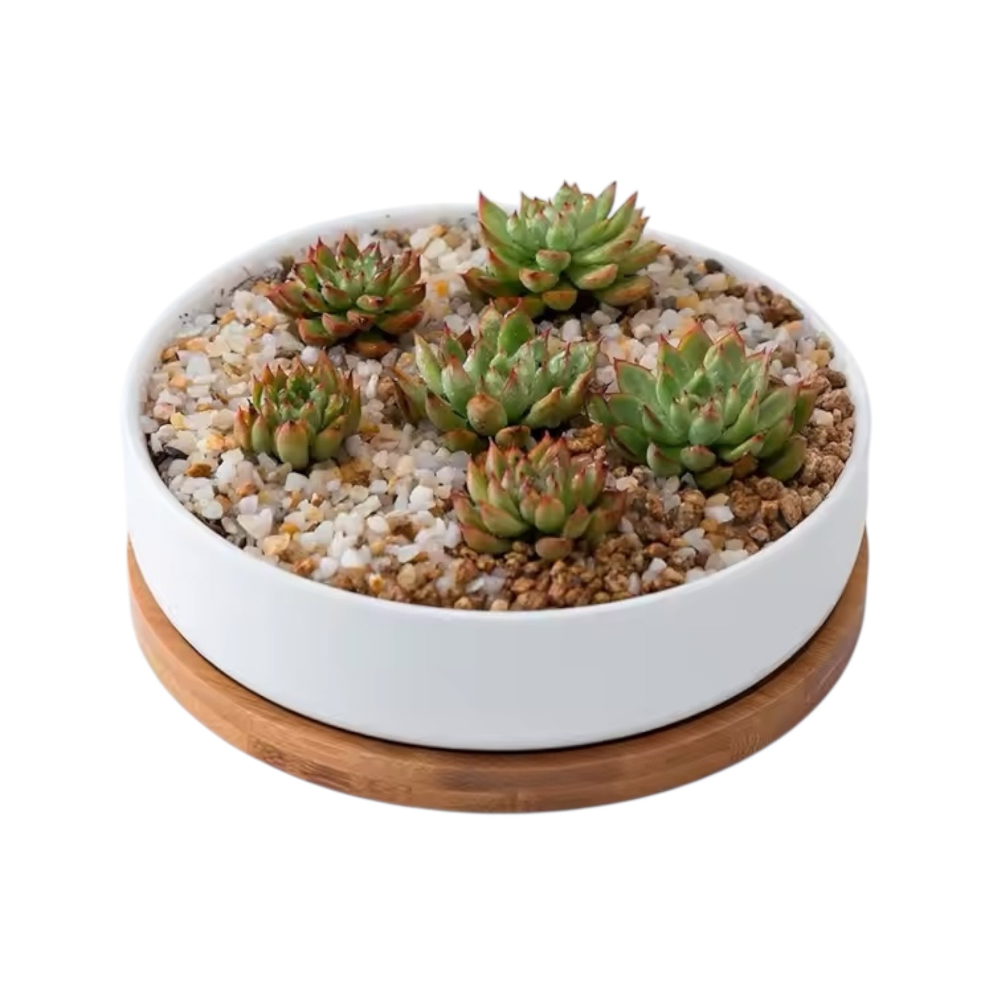 MALA – Blumentopf rund – Keramik – Weiß – Ø 16 cm – mit Bambusuntersetzer & Drainageloch