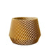 Robin Wood Topf Waves Ø5,5cm -KAKTOS