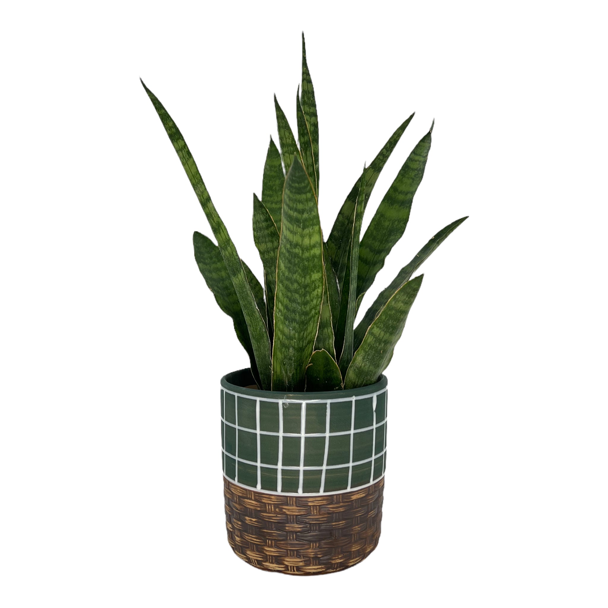 Blumentopf handbemalt, Ø12cm, 13cm hoch, linien, grün/braun, mit Loch -KAKTOS Pflanzgefäße & Zubehör