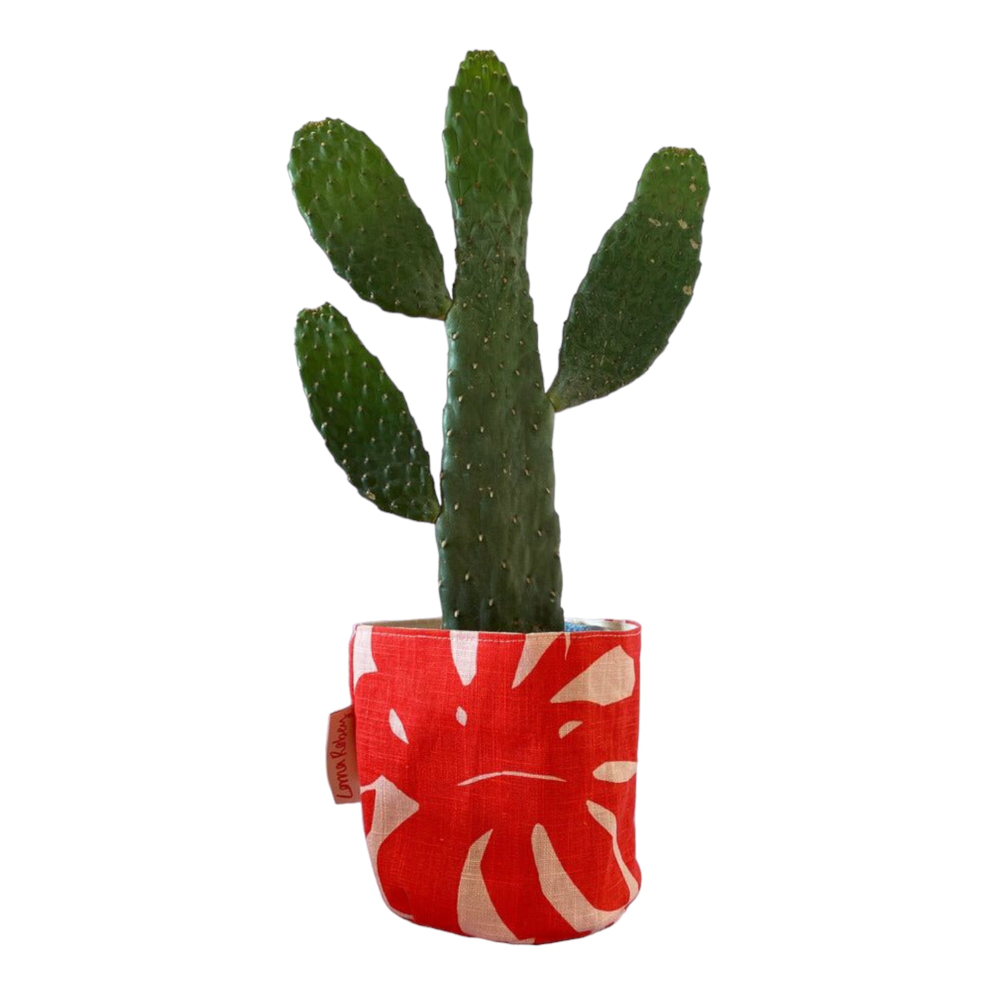 LORNA – Blumentopfhülle für Innenbereiche, Leinen & Baumwolle, Rot mit Blattdruck, Ø 12,5 cm, handbedruckt in Großbritannien