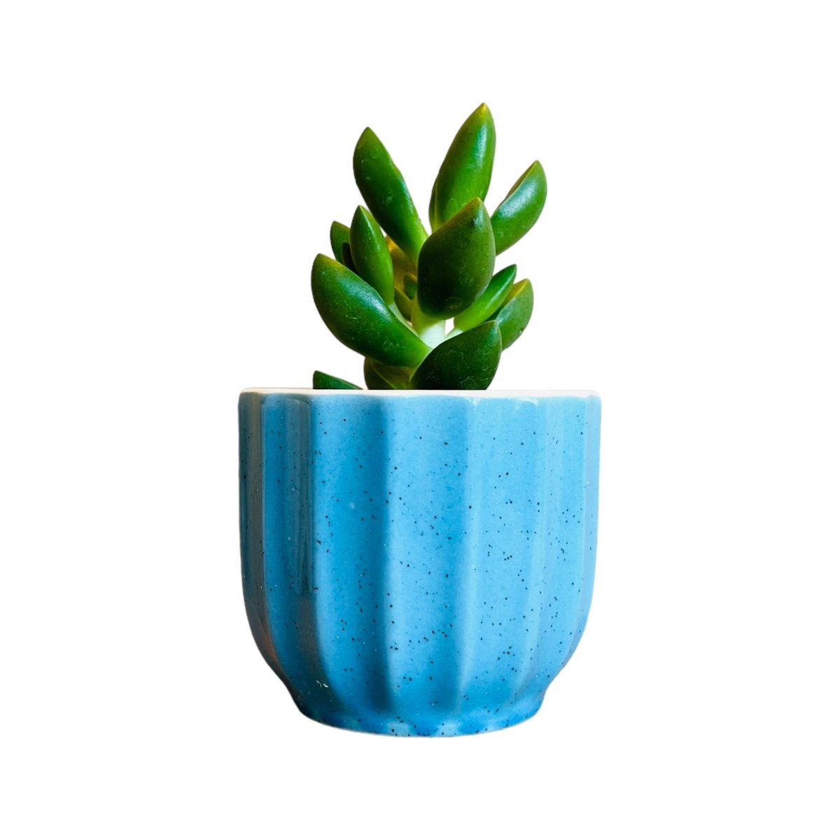 GUGLHUPF Mini-Blumentopf Keramik Pastell (Ø 9cm)