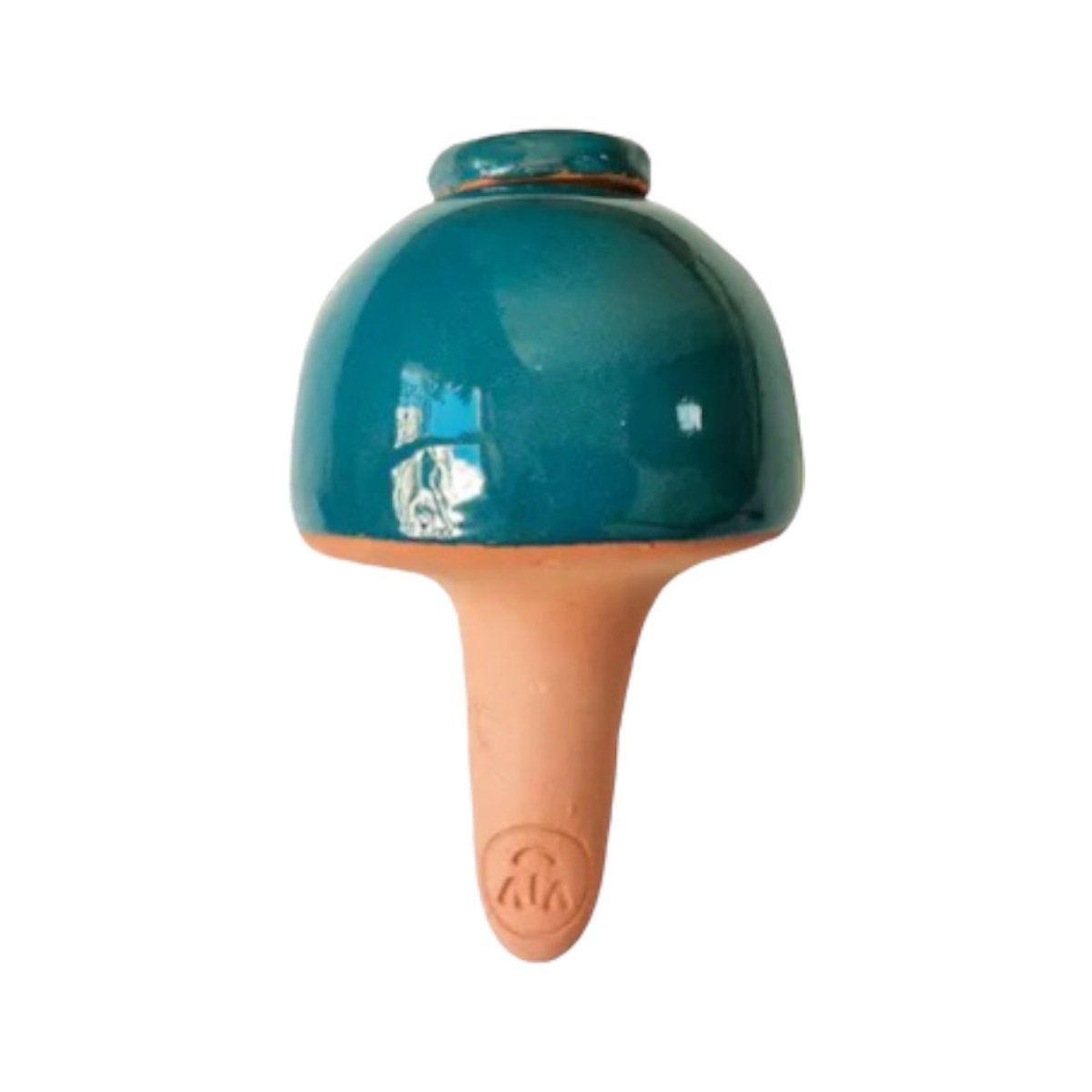 Olla Champi, verschiedene Farben -KAKTOS