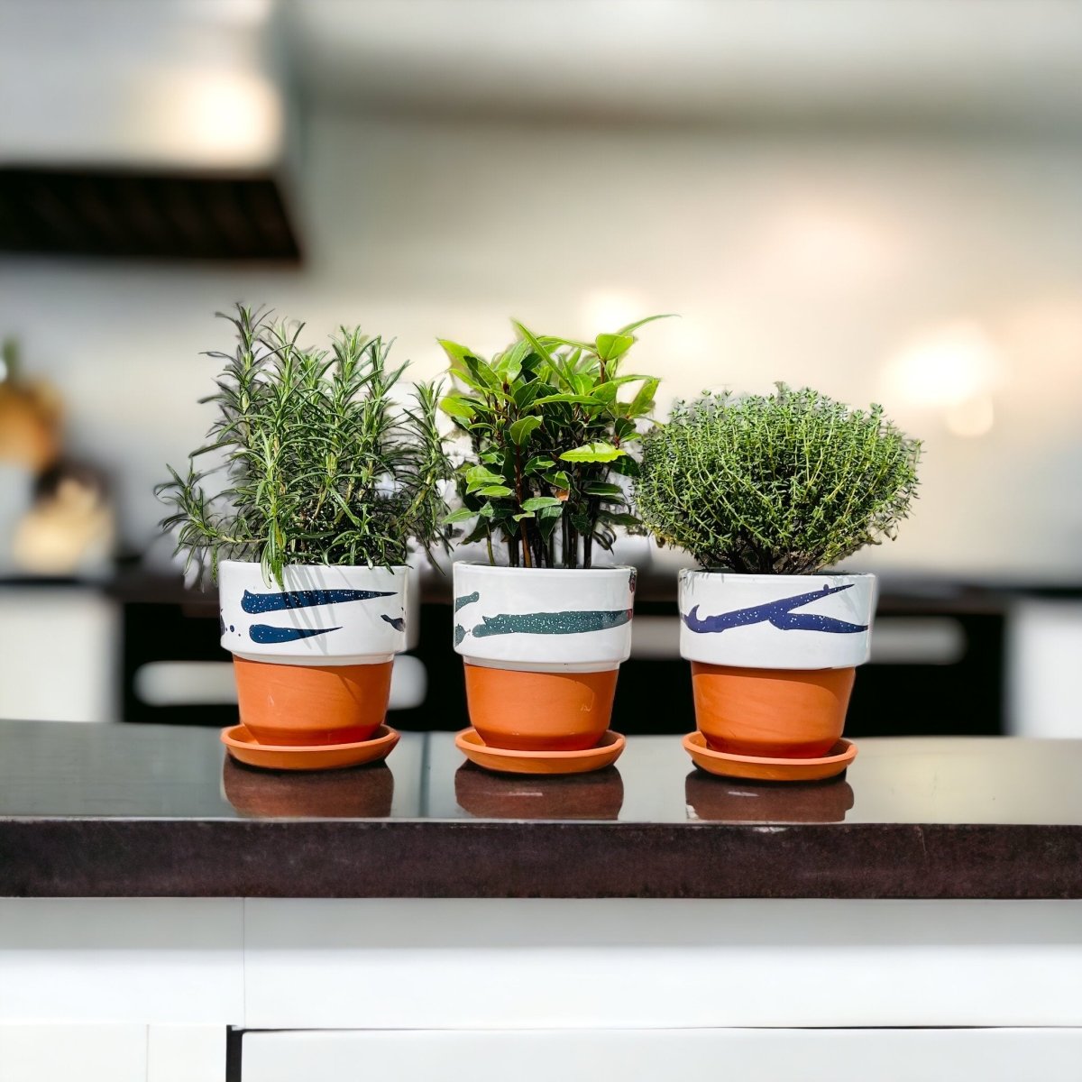 Blumentopf NUAGE terracotta handbemalt - verschiedene Farben - Ø11cm -KAKTOS