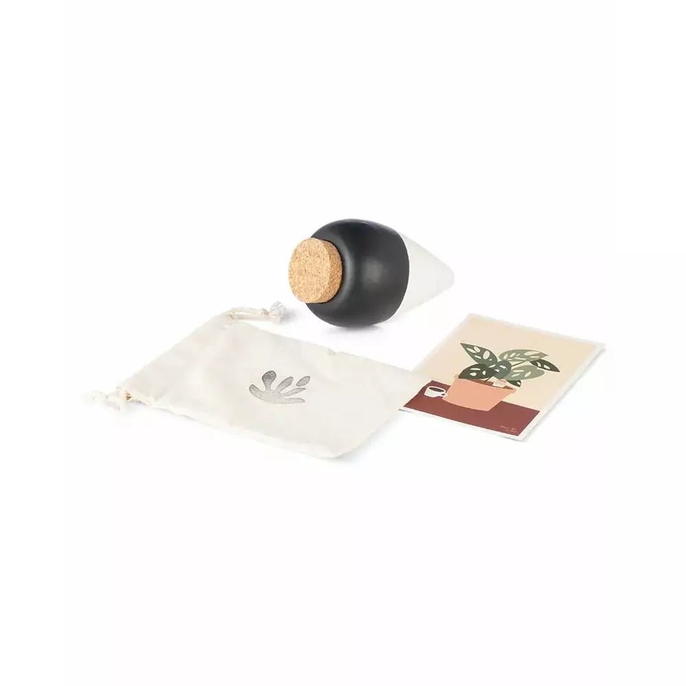 Olla Pepin - Celestine Blue -KAKTOS Pflanzen & Zubehör