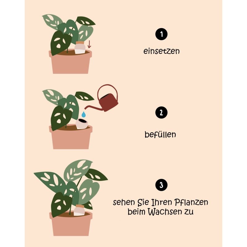 Olla Pepin - verschiedene Farben -KAKTOS