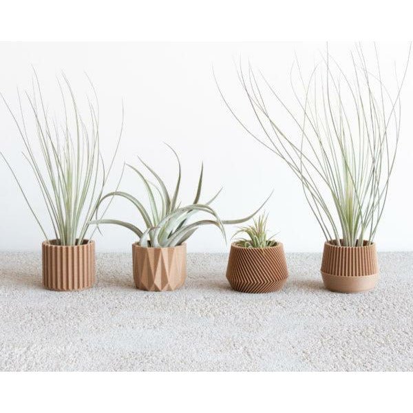 SET aus 4 MINI-Pflanzgefäßen: 100% pflanzliches/nachhaltiges Material -KAKTOS Pflanzen & Zubehör