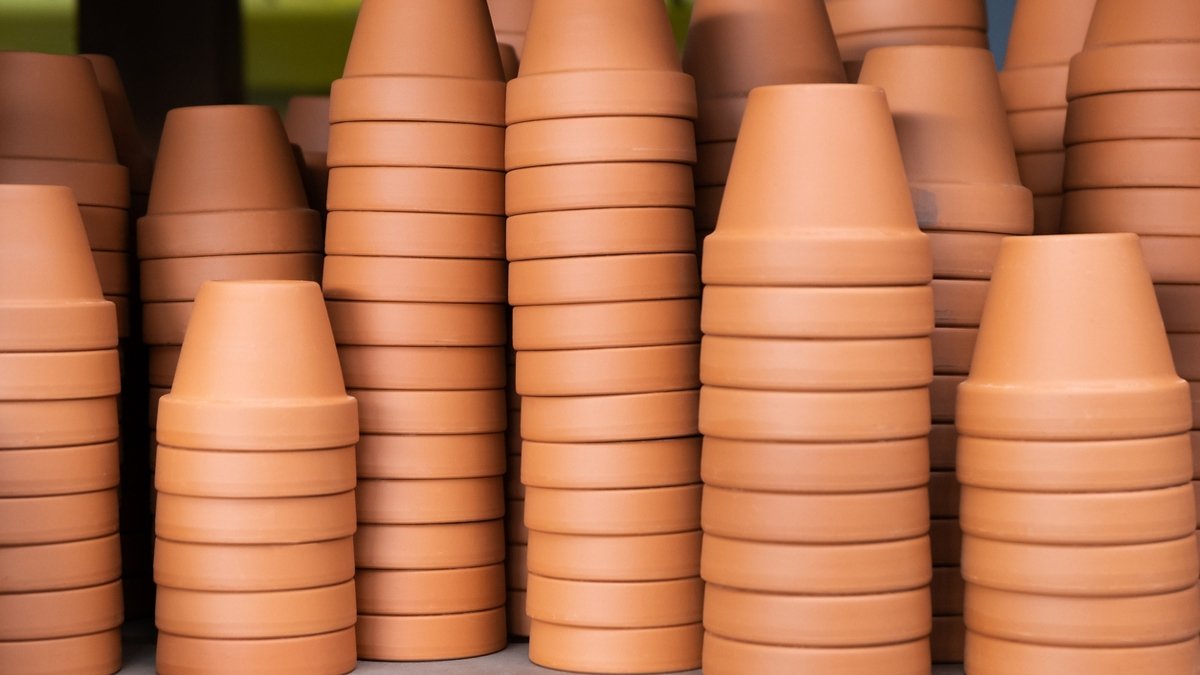 Der richtige Blumentopf für deine Zimmerpflanzen - KAKTOS