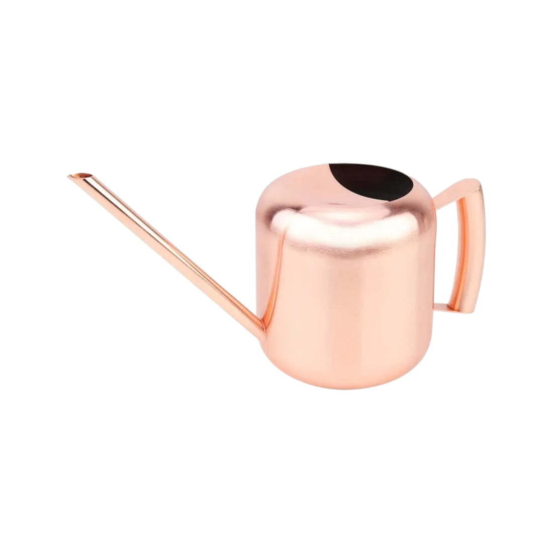 SILVA – Edelstahl-Gießkanne 1,2 l, mit langem Ausguss und ergonomischem Griff