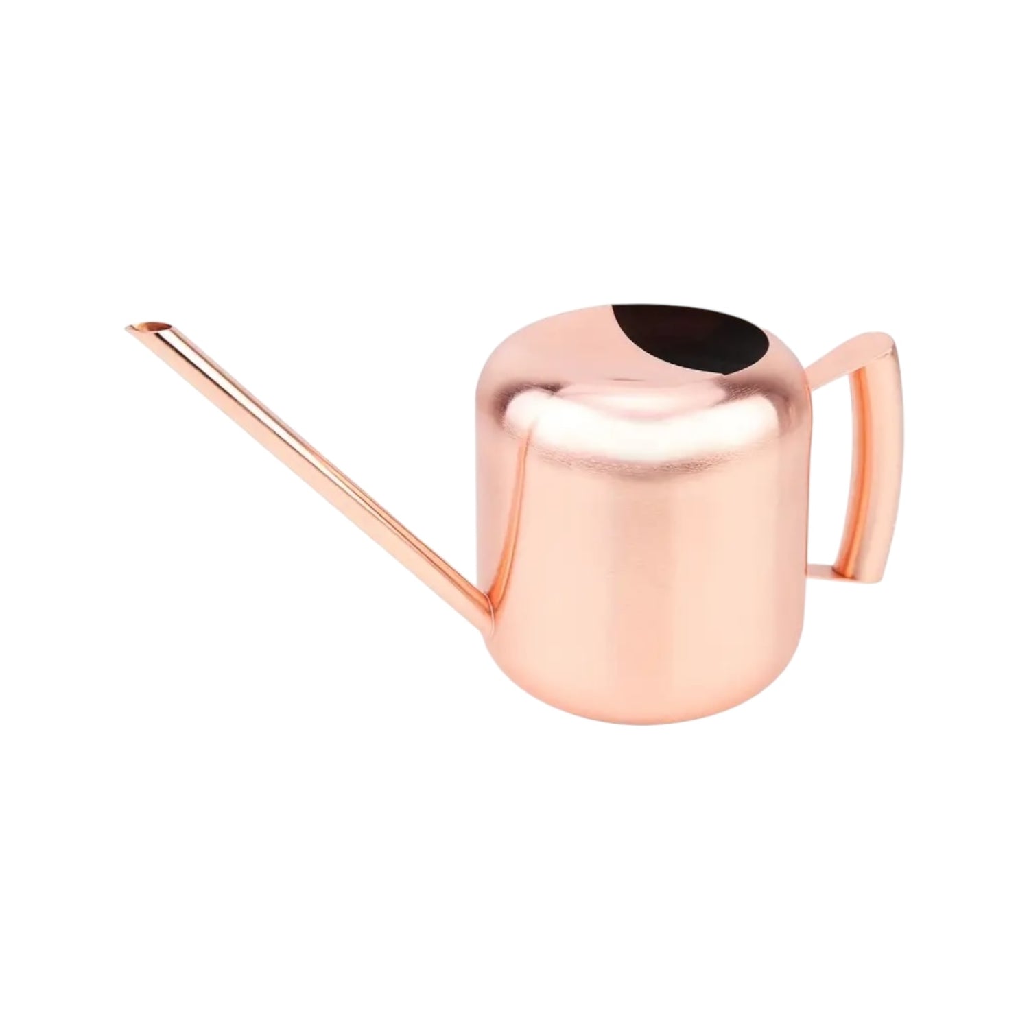 SILVA – Edelstahl-Gießkanne 1,2 l, mit langem Ausguss und ergonomischem Griff