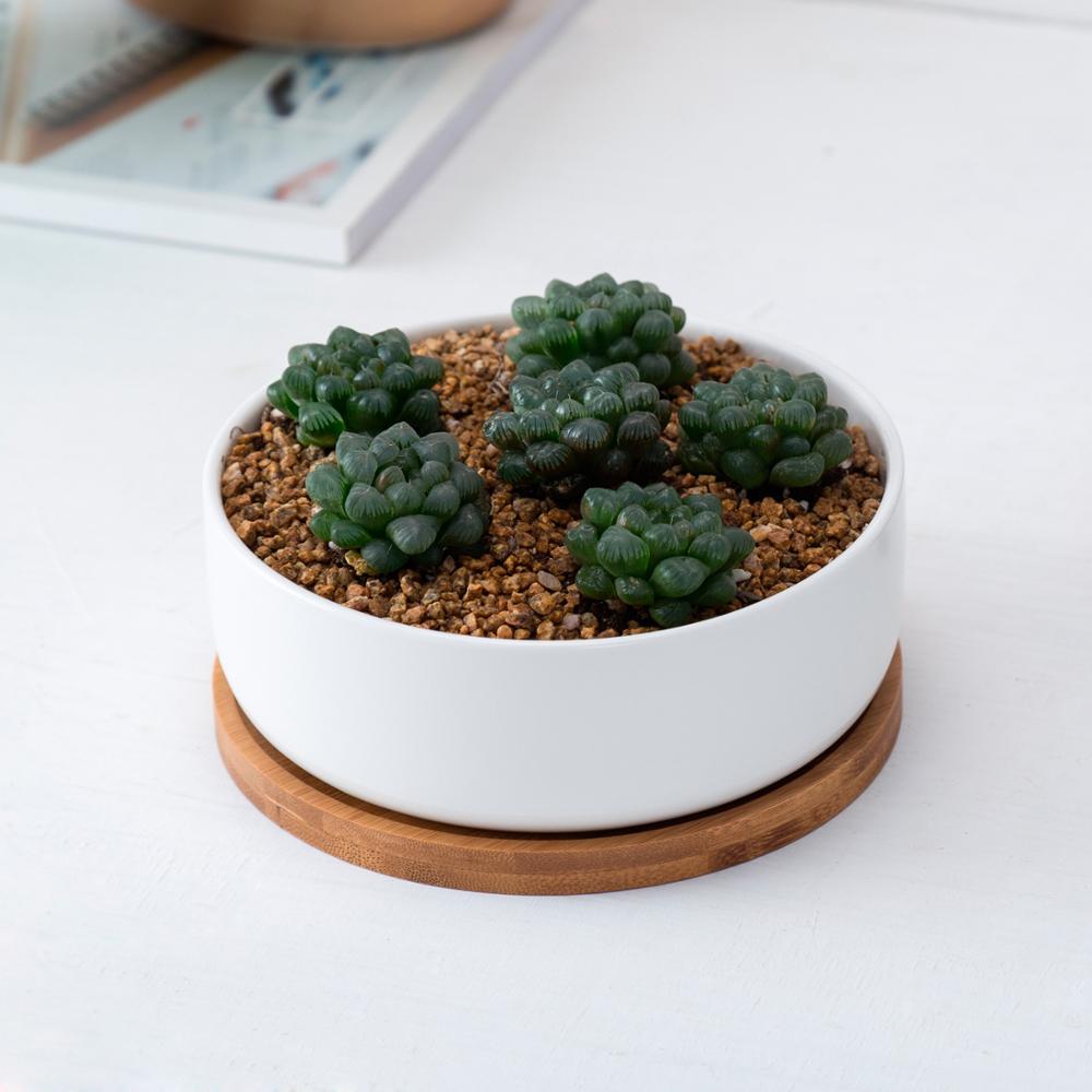 Runder Keramik Topf (⌀ 16cm, 5,7cm hoch) mit Bambusuntersetzer für Kakteen