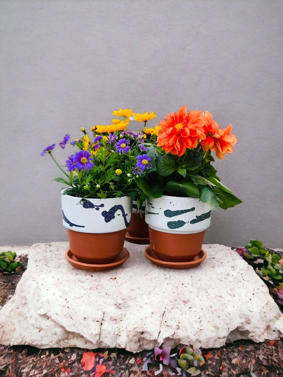 Blumentopf NUAGE terracotta handbemalt - verschiedene Farben - Ø11cm -KAKTOS