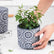 Eleganter Beton Blumentopf Mit Nordischem Motiv 11cm Blau grau Mit eleganter-beton-blumentopf-mit-nordischem-motiv-11cm-blau-grau-mit