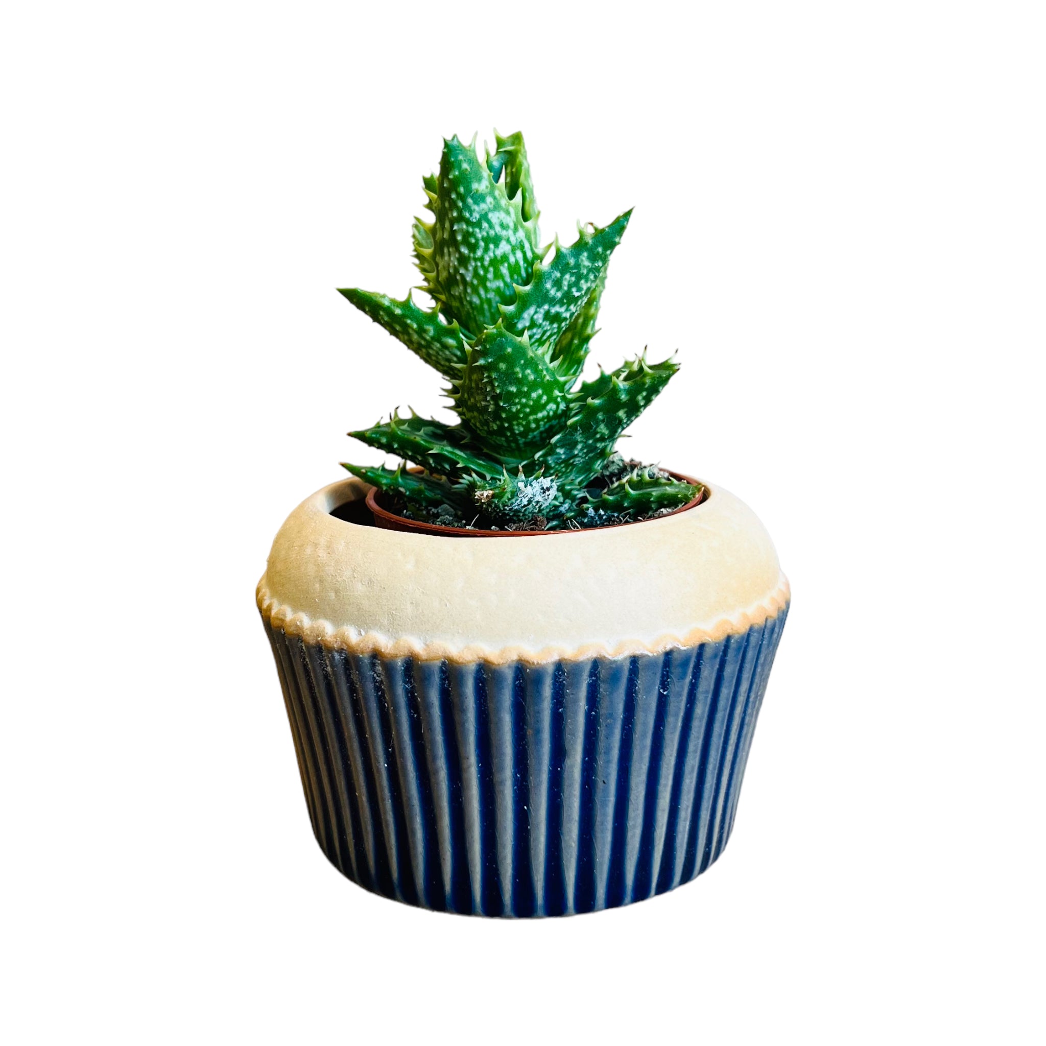 Cupcake Mini-Blumentopf - Verschiedene Farben, 8,4 x 5,4 cm