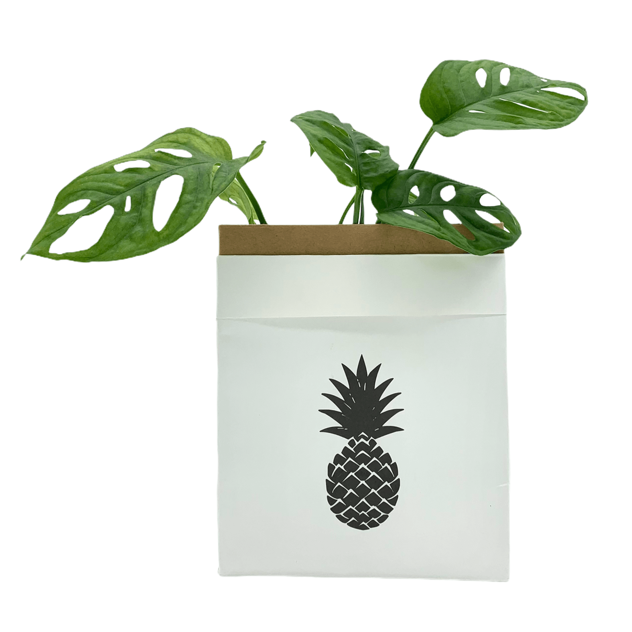 Kraftpapier Tüte beschichtet - 14x9x17 - Ananas -KAKTOS Pflanzen &amp; Zubehör