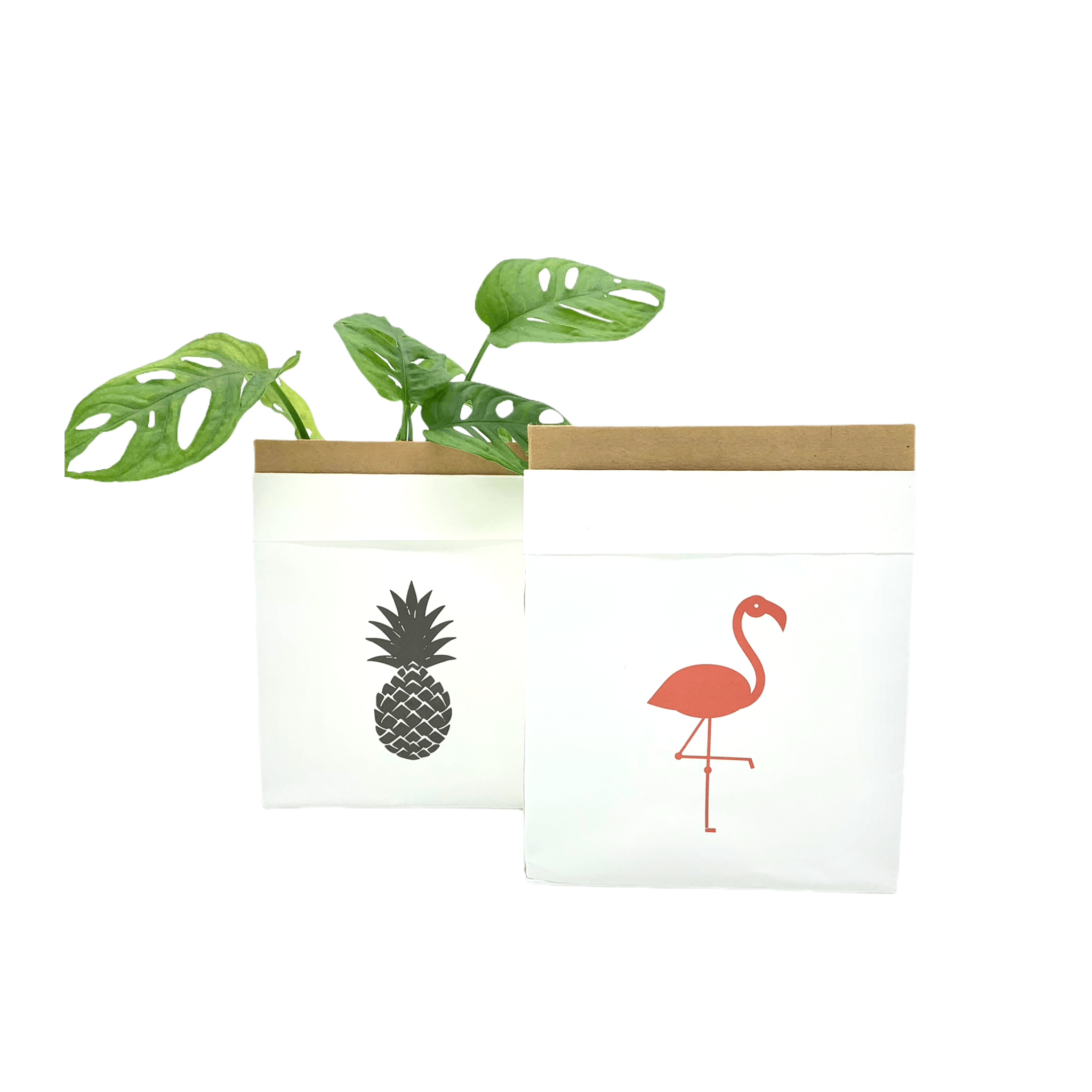 Kraftpapier Tüte beschichtet - 14x9x17 - Flamingo -KAKTOS Pflanzen &amp; Zubehör