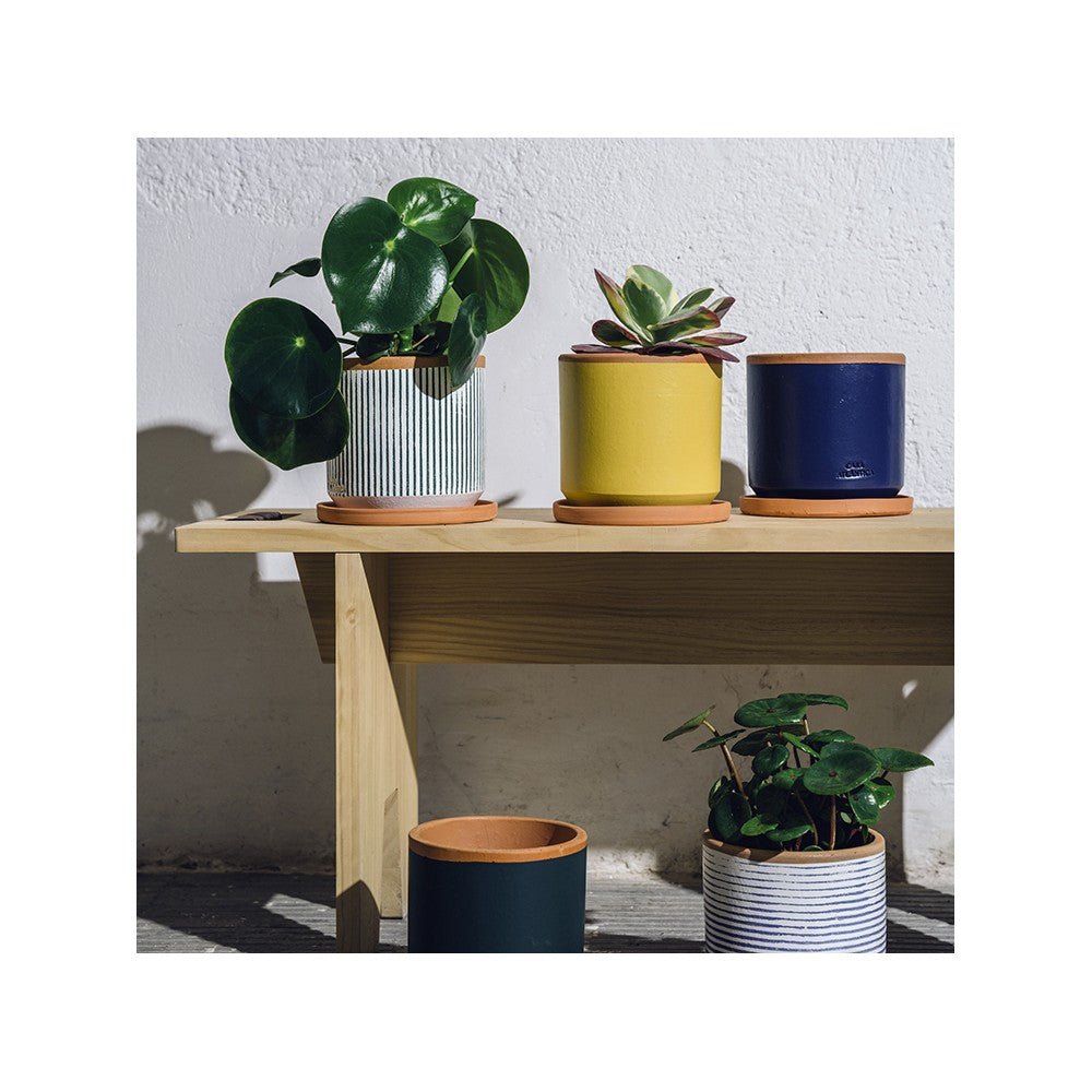 Kaktustopf, Handgemachter Pflanzentopf, Kleiner Keramik Topf